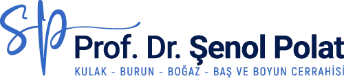 Prof. Dr. Şenol Polat