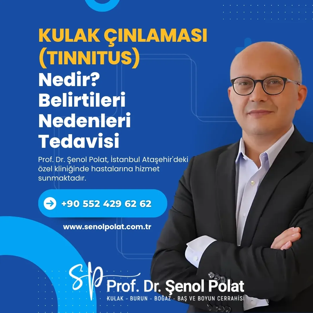 Kulak Çınlaması (Tinnitus), İstanbul